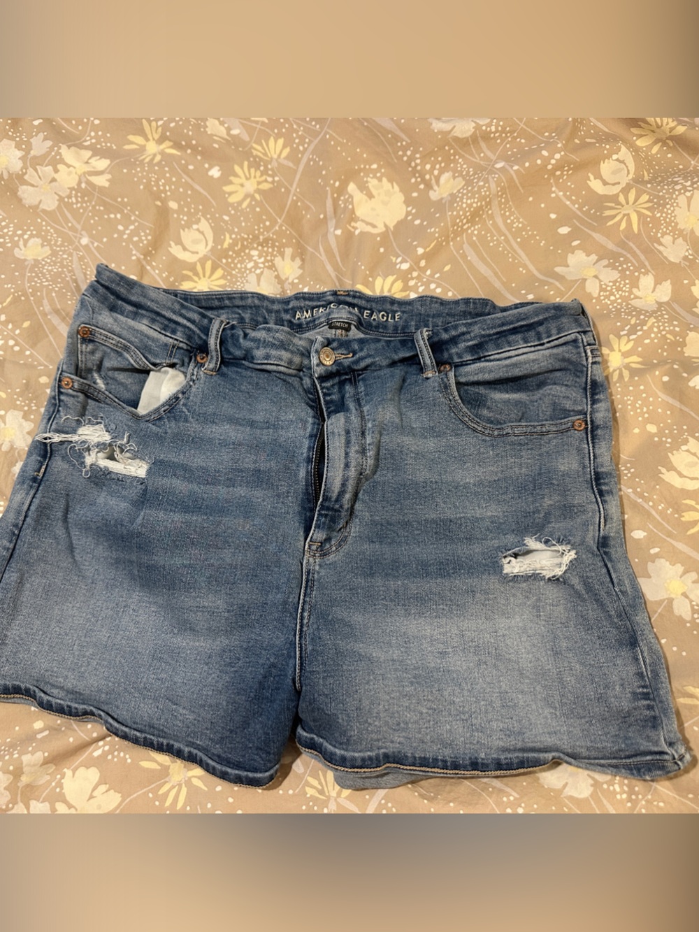 American Eagle Outfitters Light Blue Distressed Cropped Jeans